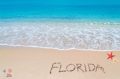 Best Florida Bachelorette Party Destinations Guide