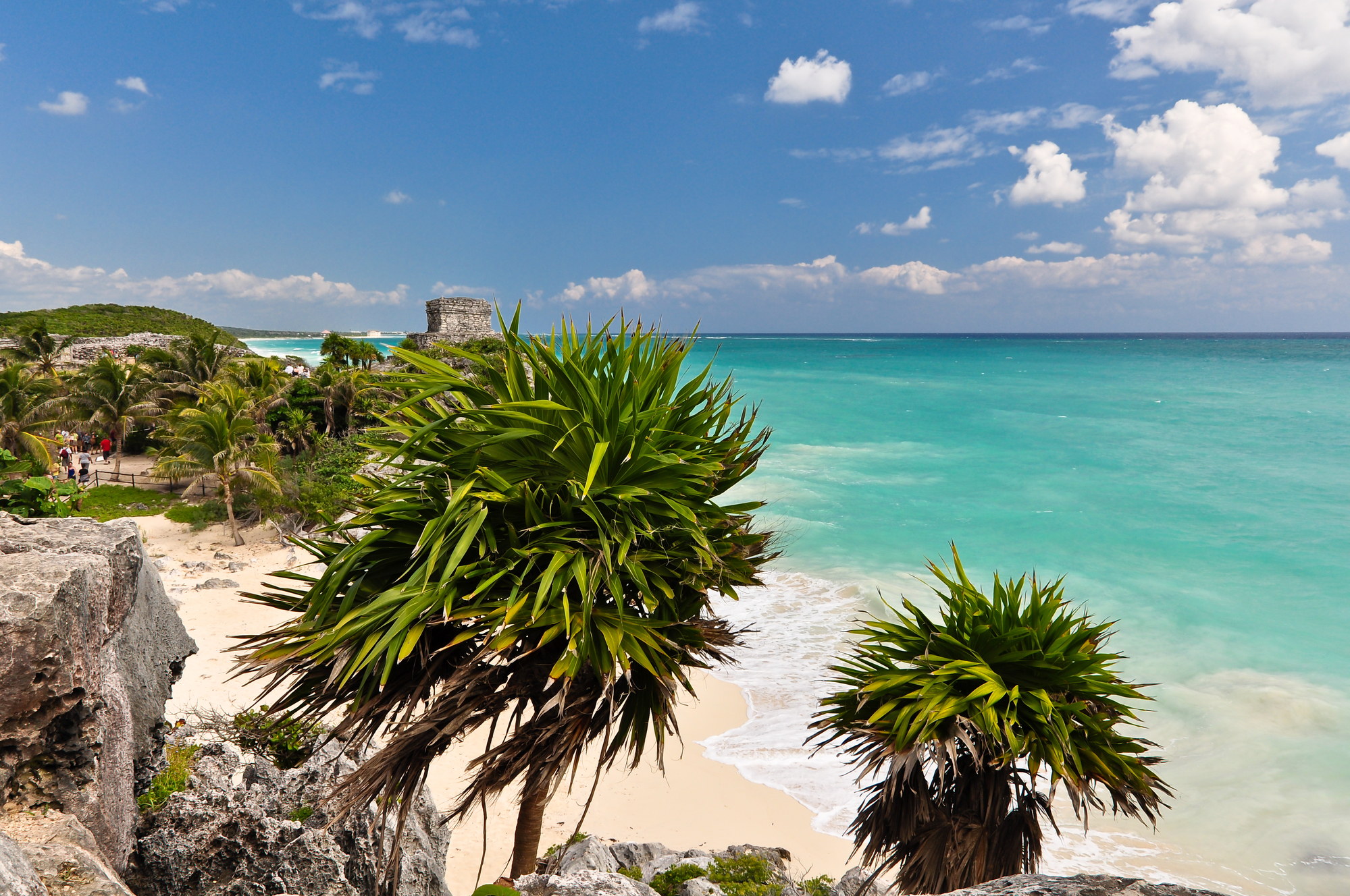 Plan Your Bachelorette Party in Tulum Mexico (2026 Guide)