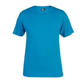 https://upload.wikimedia.org/wikipedia/commons/2/24/Blue_Tshirt.jpg