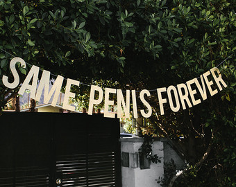 Same Penis Foreverâ¢ Glitter Banner | bachelorette party decorations photo prop bachelorette party banner ideas tattoo favors cups sash decor