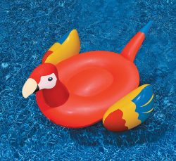 parrot pool float